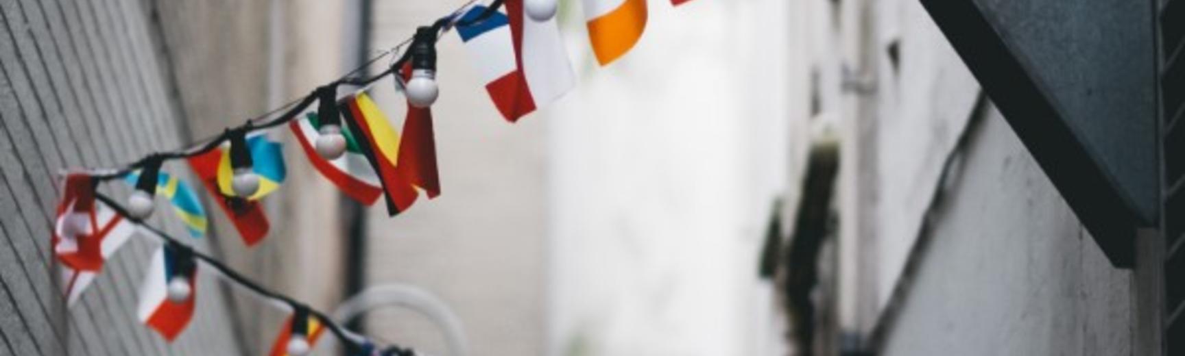 International Partnership Scheme