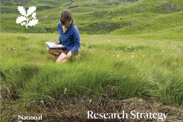 nt research strategy