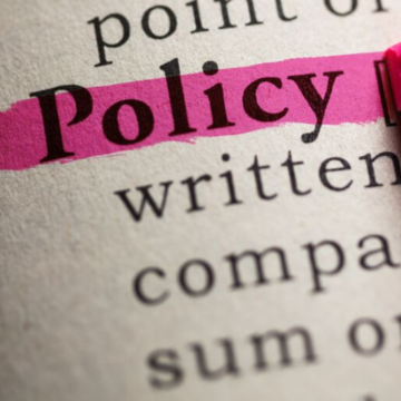 'Policy' highlighted in pink in a dictionary