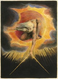 blake  science and humanities